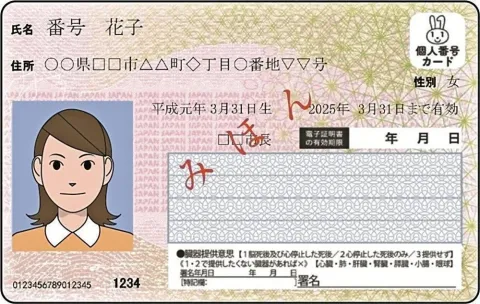 マイナンバーカード(見本)